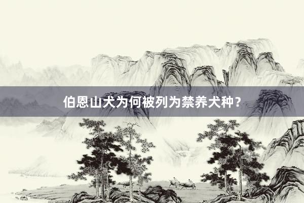 伯恩山犬为何被列为禁养犬种？